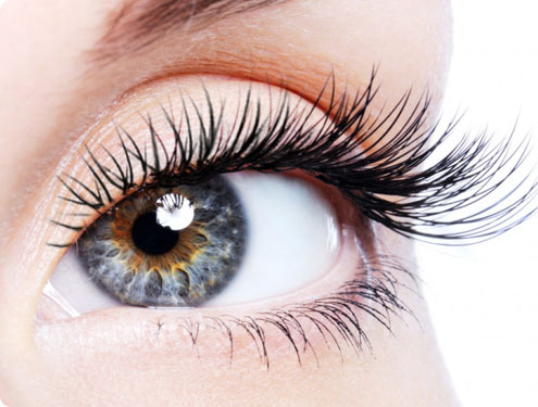 Lash Lifting Paris